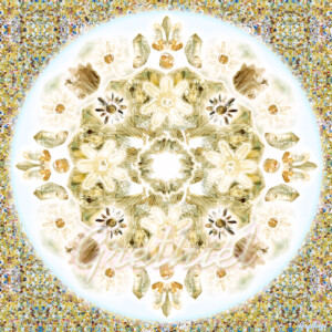 Lemuuria mandala Lemuuria mandala (taustaga)