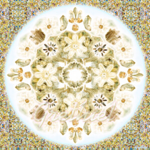 Lemuuria mandala Lemuuria mandala (taustaga)