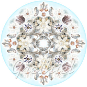 Lemuuria mandala Lemuuria mandala