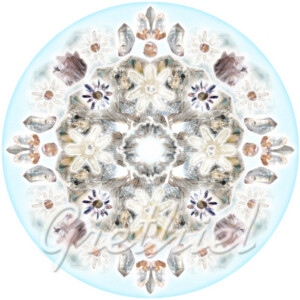 Lemuuria mandala Lemuuria mandala